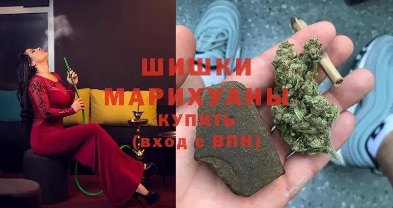 закладки  Пошехонье  Бошки марихуана White Widow 